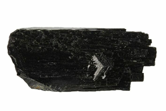 Black Tourmaline (Schorl) Crystal - Namibia #132172